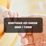 Kebutuhan Gizi Harian Anak 1 Tahun