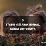 Status Gizi Anak Normal